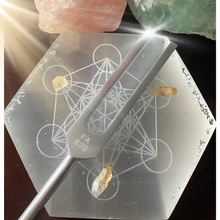 Load image into Gallery viewer, Biofield Tuning & Light Activation!